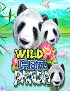 สูตร คำ น วน บา คา ร่า พิชิตเกมแบบเซียนนักคณิตศาสตร์